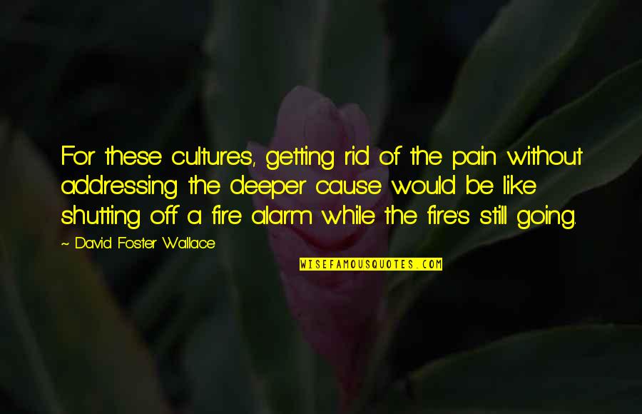 I Am Growing Stronger Quotes By David Foster Wallace: For these cultures, getting rid of the pain I Am Growing Stronger Quotes By David Foster Wallace: For these cultures, getting rid of the pain