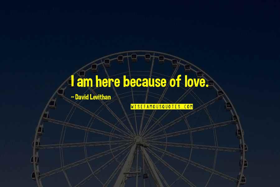 I Am Here Because Quotes By David Levithan: I am here because of love.