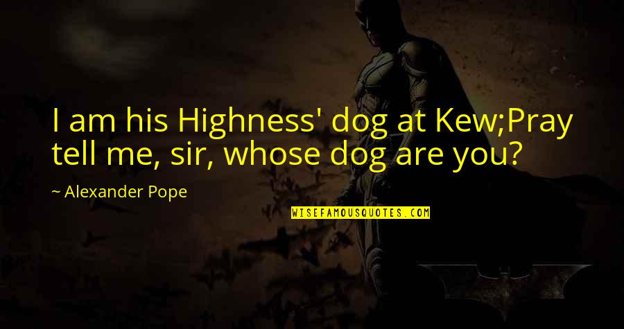 I Am His Quotes By Alexander Pope: I am his Highness' dog at Kew;Pray tell