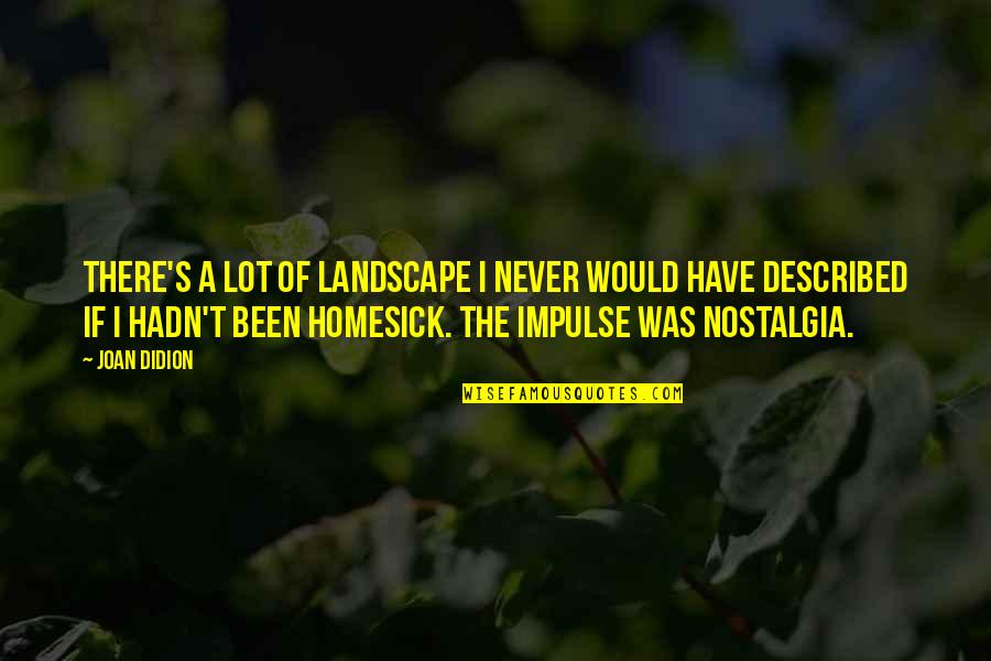 I Am Homesick Quotes By Joan Didion: There's a lot of landscape I never would