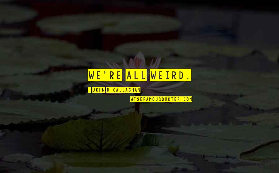 I Am Just Different Quotes By John O'Callaghan: We're all weird.