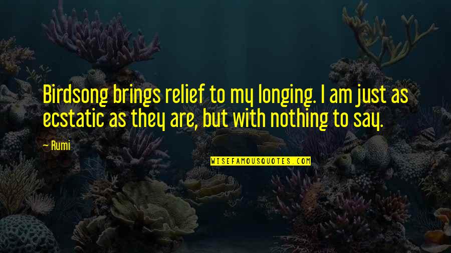 I Am Just Nothing Quotes By Rumi: Birdsong brings relief to my longing. I am