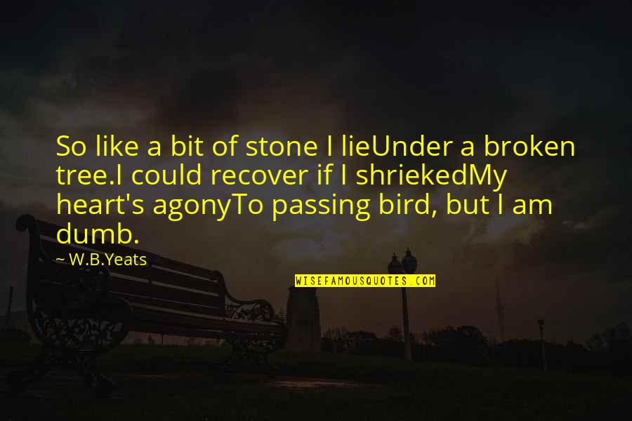 I Am Like A Bird Quotes By W.B.Yeats: So like a bit of stone I lieUnder