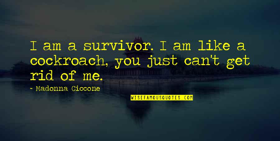 I Am Like A Quotes By Madonna Ciccone: I am a survivor. I am like a