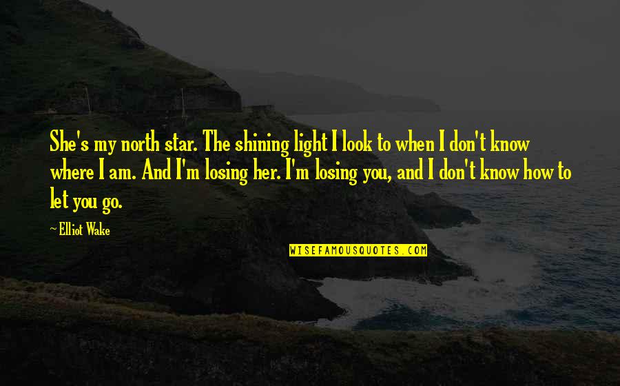I Am Losing You Quotes By Elliot Wake: She's my north star. The shining light I
