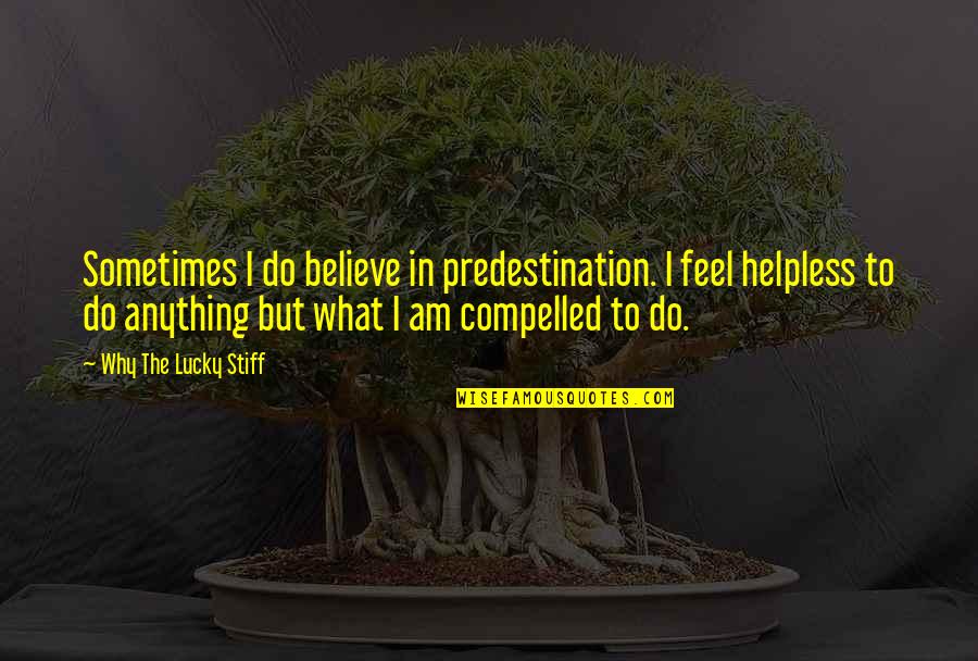 I Am Lucky Quotes By Why The Lucky Stiff: Sometimes I do believe in predestination. I feel