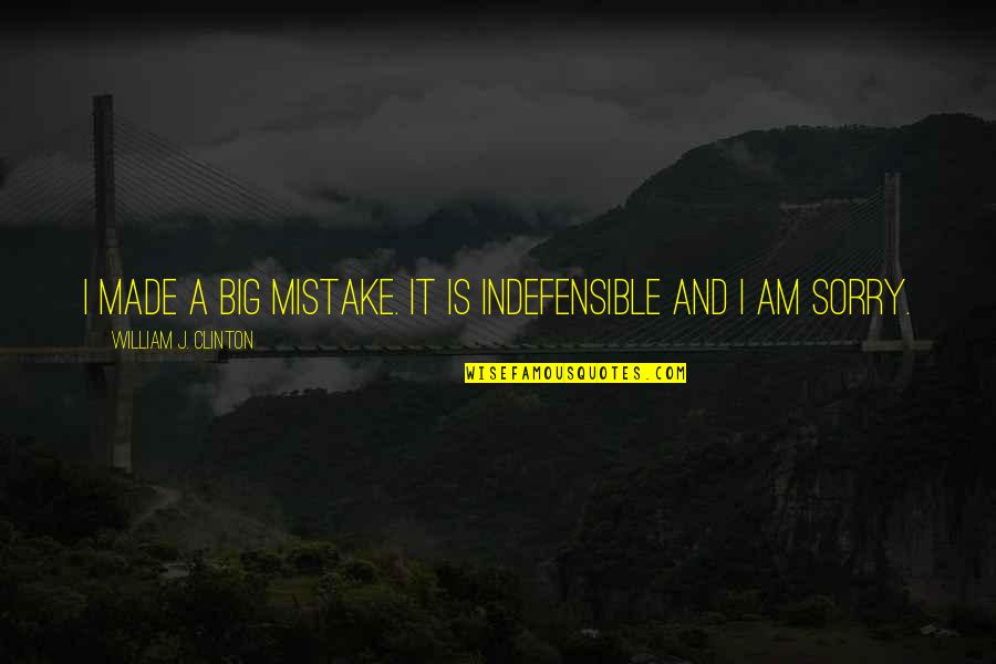 I Am Mistake Quotes By William J. Clinton: I made a big mistake. It is indefensible