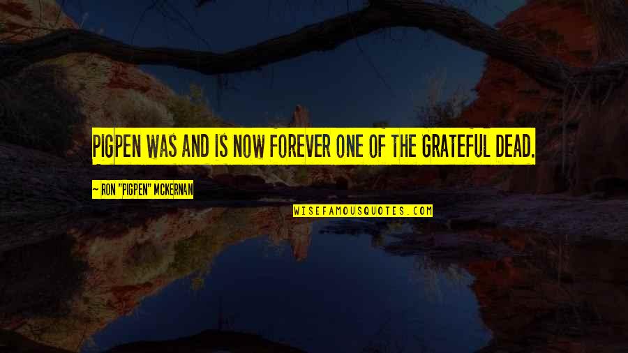 I Am More Than Grateful Quotes By Ron 