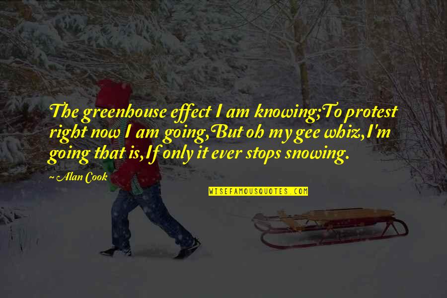 I Am My Quotes By Alan Cook: The greenhouse effect I am knowing;To protest right I Am My Quotes By Alan Cook: The greenhouse effect I am knowing;To protest right