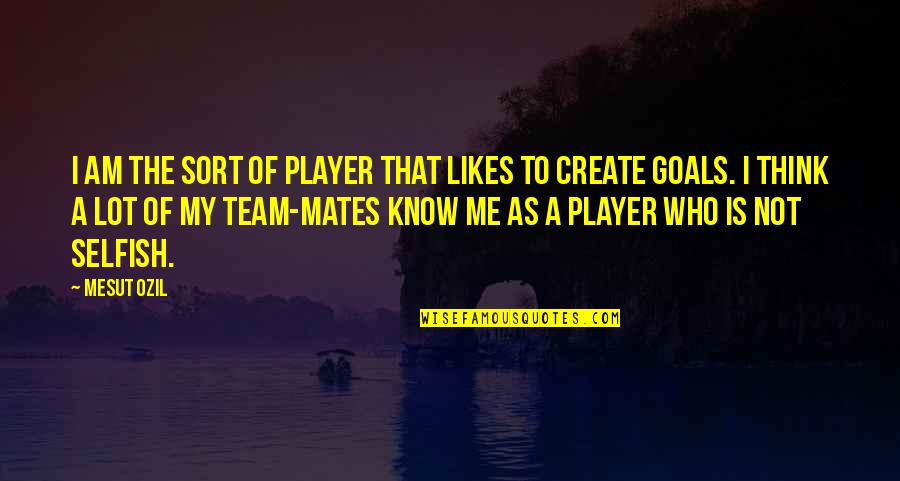 I Am My Team Quotes By Mesut Ozil: I am the sort of player that likes I Am My Team Quotes By Mesut Ozil: I am the sort of player that likes