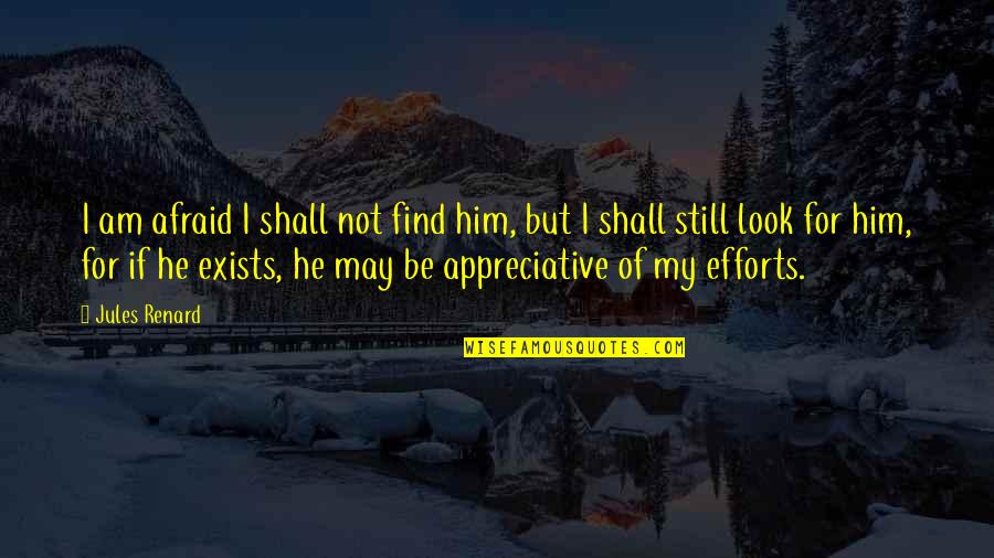 I Am Not Afraid Quotes By Jules Renard: I am afraid I shall not find him,