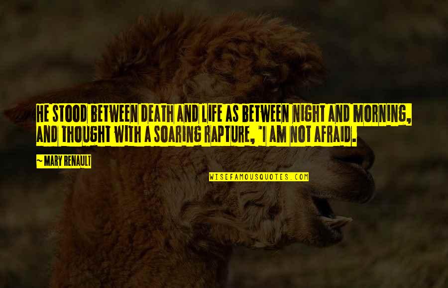 I Am Not Afraid Quotes By Mary Renault: He stood between death and life as between