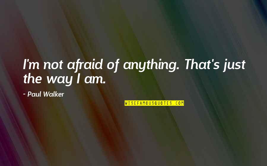 I Am Not Afraid Quotes By Paul Walker: I'm not afraid of anything. That's just the