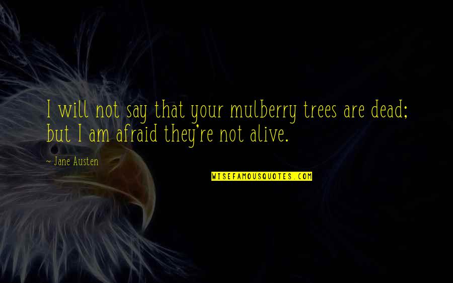 I Am Not Alive Quotes By Jane Austen: I will not say that your mulberry trees
