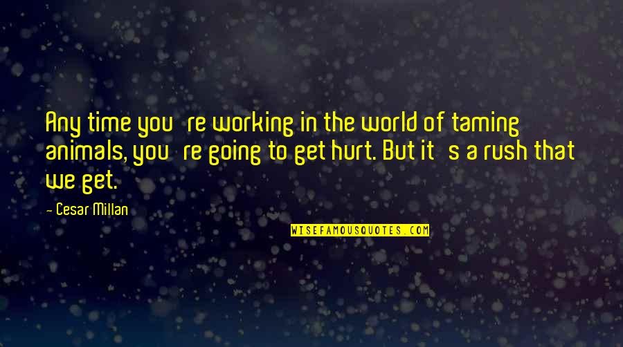 I Am Not Going To Hurt You Quotes By Cesar Millan: Any time you're working in the world of I Am Not Going To Hurt You Quotes By Cesar Millan: Any time you're working in the world of