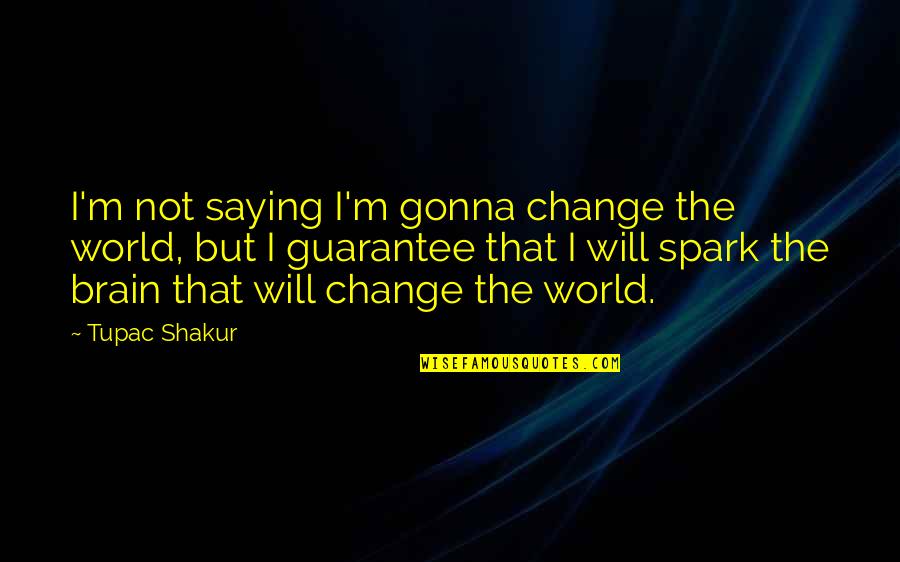 I Am Not Gonna Change Quotes By Tupac Shakur: I'm not saying I'm gonna change the world,