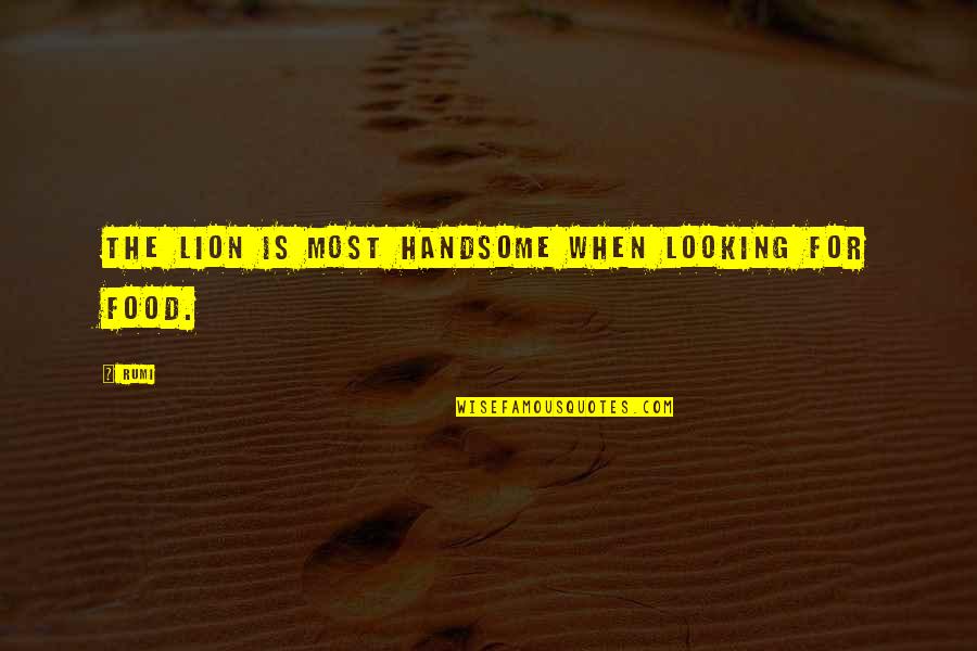 I Am Not Handsome Quotes By Rumi: The lion is most handsome when looking for