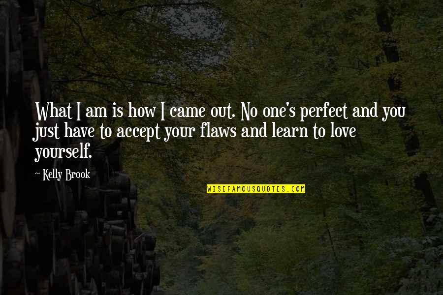 I Am Not Perfect I Have Flaws Quotes By Kelly Brook: What I am is how I came out.