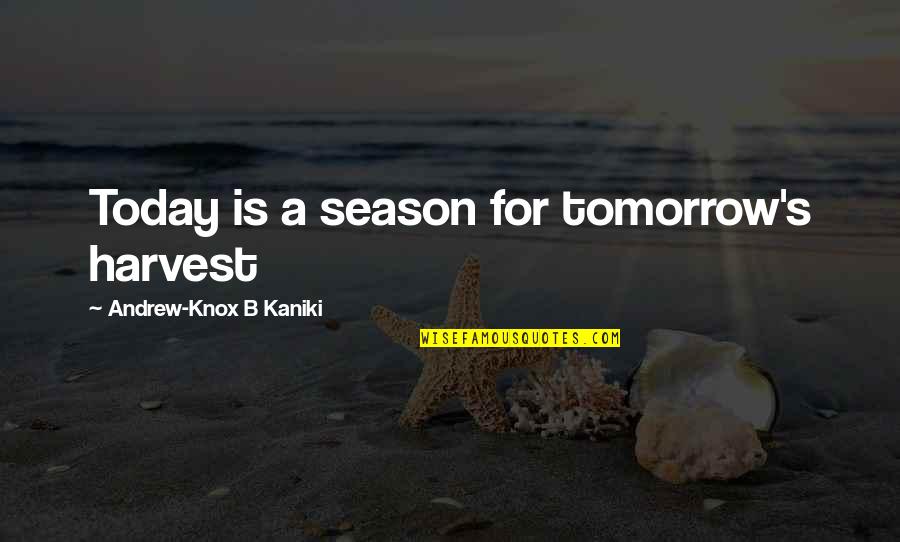 I Am Not Scared Of Anyone Quotes By Andrew-Knox B Kaniki: Today is a season for tomorrow's harvest