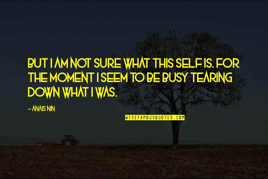 I Am Not Sure Quotes By Anais Nin: But I am not sure what this self