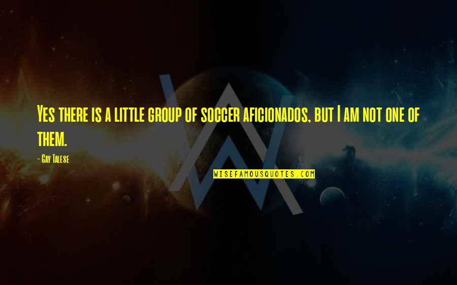 I Am Not There Quotes By Gay Talese: Yes there is a little group of soccer