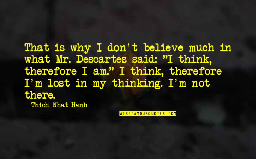I Am Not There Quotes By Thich Nhat Hanh: That is why I don't believe much in