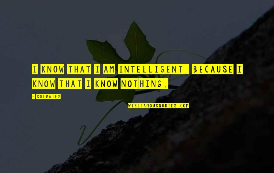 I Am Nothing Quotes By Socrates: I know that I am intelligent, because I