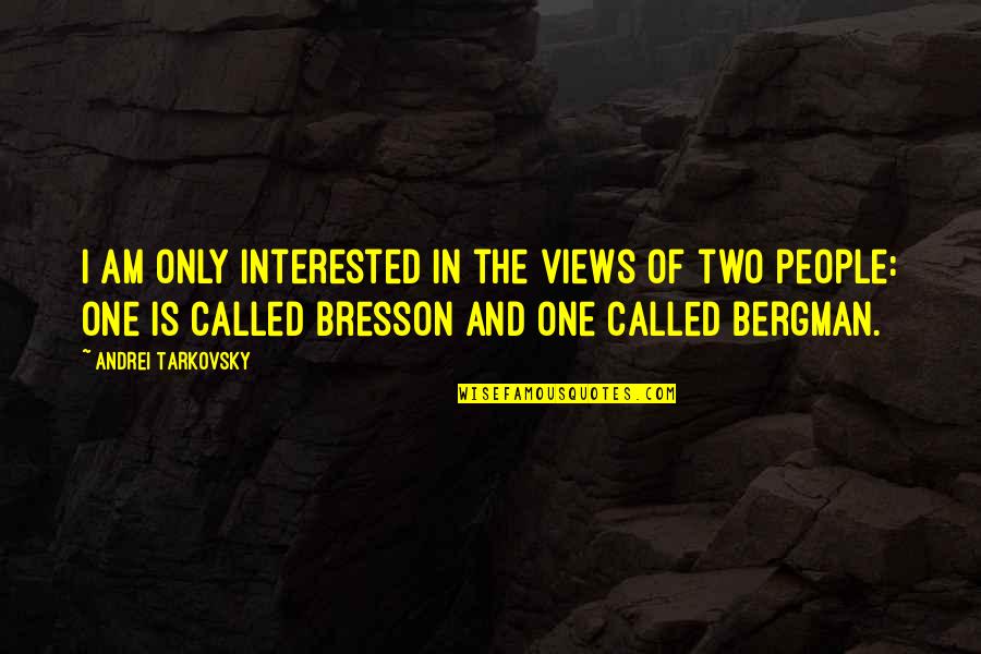 I Am Only One Quotes By Andrei Tarkovsky: I am only interested in the views of