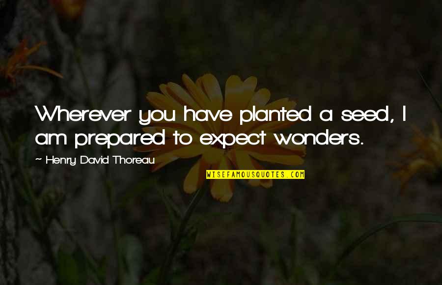 I Am Prepared Quotes By Henry David Thoreau: Wherever you have planted a seed, I am