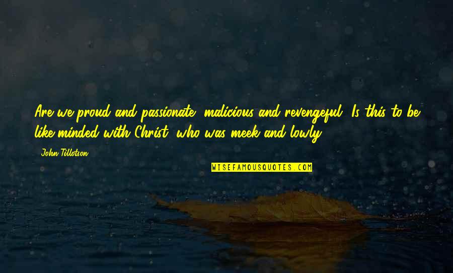 I Am Proud Of Who I Am Quotes By John Tillotson: Are we proud and passionate, malicious and revengeful?