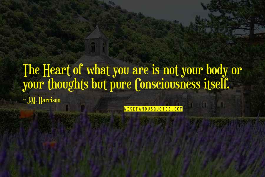 I Am Pure Quotes By J.M. Harrison: The Heart of what you are is not