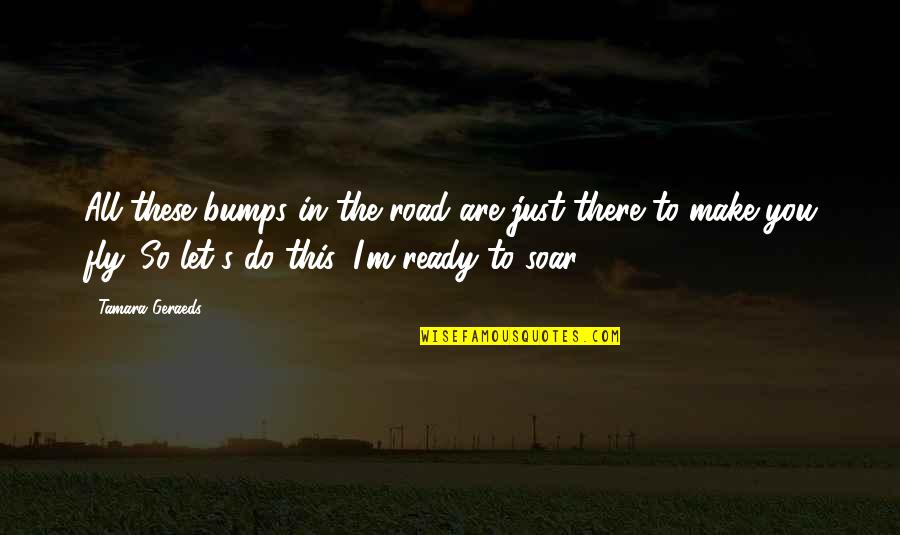 I Am Ready To Fly Quotes By Tamara Geraeds: All these bumps in the road are just I Am Ready To Fly Quotes By Tamara Geraeds: All these bumps in the road are just