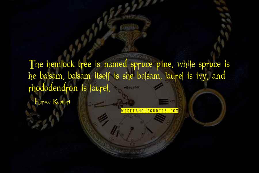 I Am Ready To Love Again Quotes By Horace Kephart: The hemlock tree is named spruce-pine, while spruce I Am Ready To Love Again Quotes By Horace Kephart: The hemlock tree is named spruce-pine, while spruce