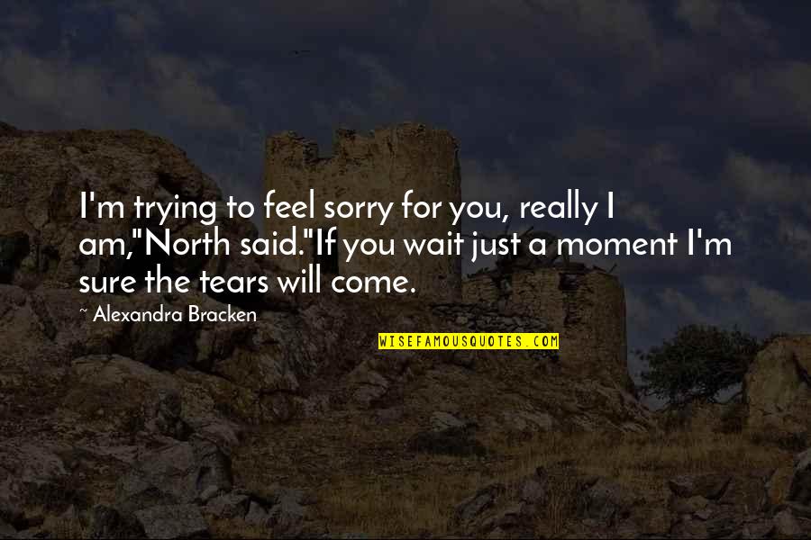 I Am Really Sorry Quotes By Alexandra Bracken: I'm trying to feel sorry for you, really I Am Really Sorry Quotes By Alexandra Bracken: I'm trying to feel sorry for you, really