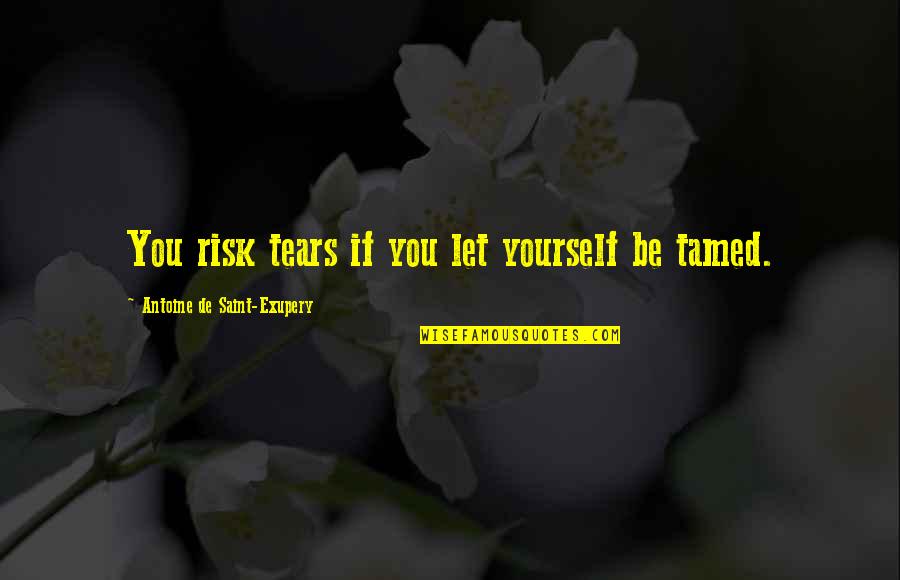I Am Reserved Person Quotes By Antoine De Saint-Exupery: You risk tears if you let yourself be