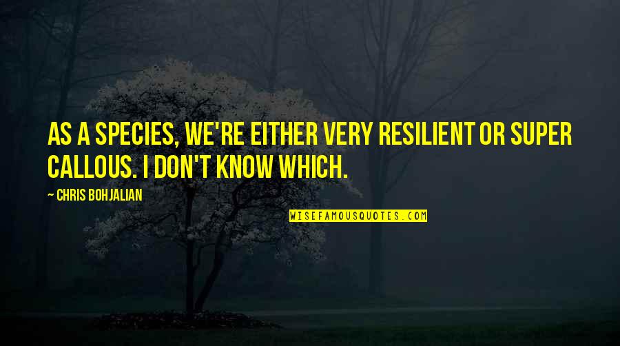 I Am Resilient Quotes By Chris Bohjalian: As a species, we're either very resilient or