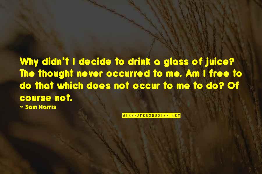 I Am Sam I Am Quotes By Sam Harris: Why didn't I decide to drink a glass