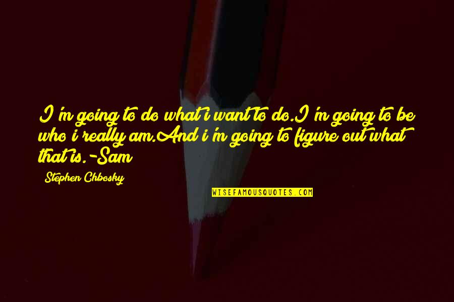 I Am Sam I Am Quotes By Stephen Chbosky: I'm going to do what i want to