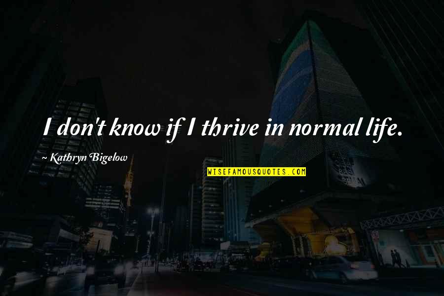 I Am Scared Of Getting Hurt Quotes By Kathryn Bigelow: I don't know if I thrive in normal