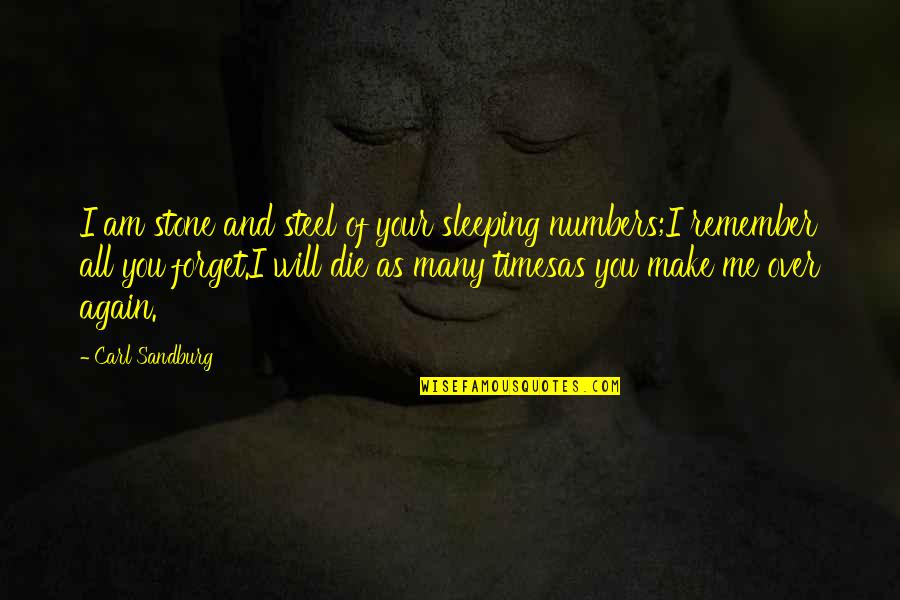 I Am Sleeping Quotes By Carl Sandburg: I am stone and steel of your sleeping I Am Sleeping Quotes By Carl Sandburg: I am stone and steel of your sleeping