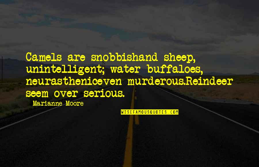 I Am Snobbish Quotes By Marianne Moore: Camels are snobbishand sheep, unintelligent; water buffaloes, neurastheniceven