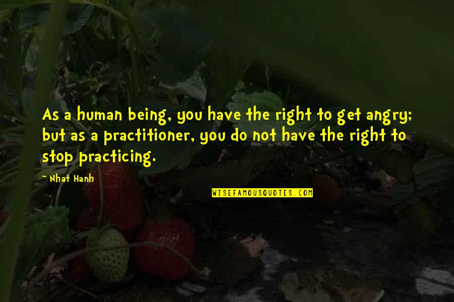 I Am So Angry Right Now Quotes By Nhat Hanh: As a human being, you have the right