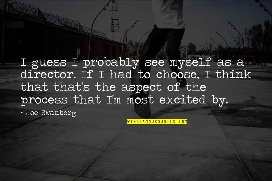 I Am So Excited To See You Quotes By Joe Swanberg: I guess I probably see myself as a