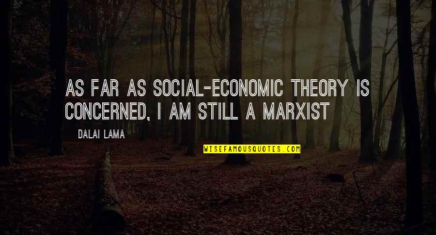I Am Social Quotes By Dalai Lama: As far as social-economic theory is concerned, I