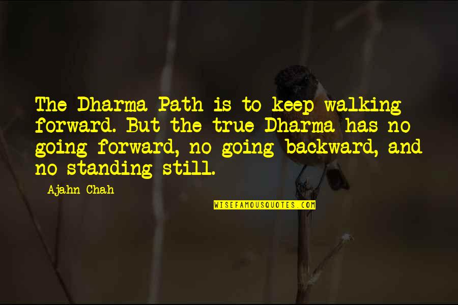 I Am Still Standing Quotes By Ajahn Chah: The Dharma Path is to keep walking forward.