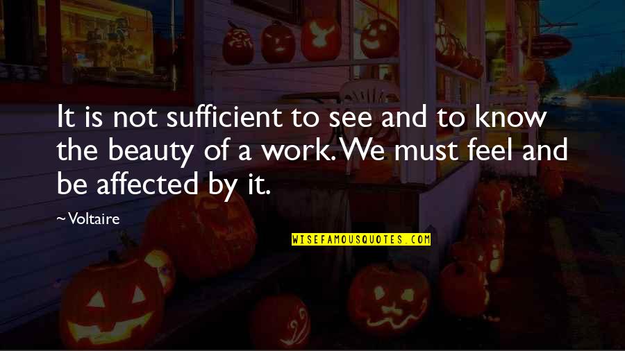 I Am Sufficient Quotes By Voltaire: It is not sufficient to see and to