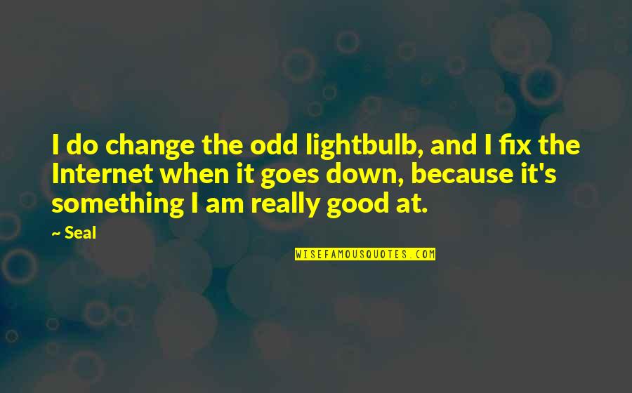 I Am The Change Quotes By Seal: I do change the odd lightbulb, and I I Am The Change Quotes By Seal: I do change the odd lightbulb, and I