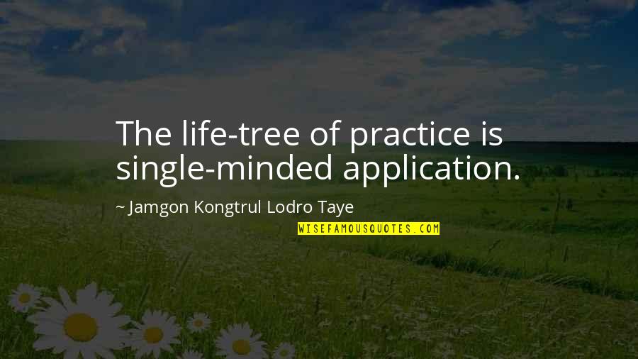 I Am The Tree Of Life Quotes By Jamgon Kongtrul Lodro Taye: The life-tree of practice is single-minded application.