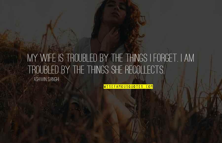 I Am Troubled Quotes By Ashwin Sanghi: My wife is troubled by the things I