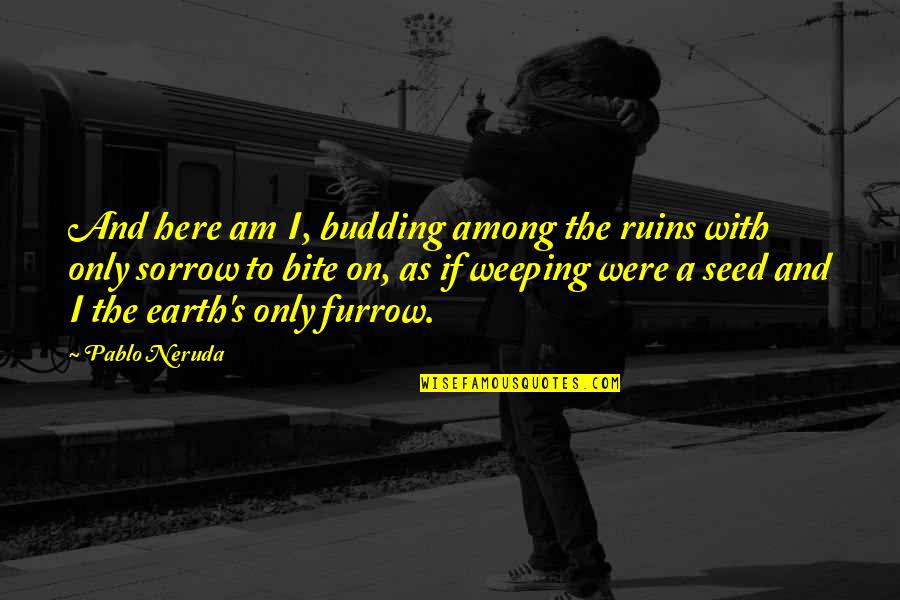 I Am Weeping Quotes By Pablo Neruda: And here am I, budding among the ruins
